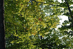 EsPro07_071002_019.JPG