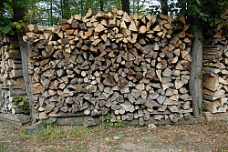 EsPro07_071002_053.JPG