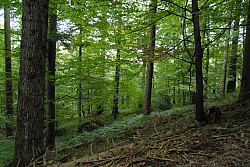 EsPro07_071002_069.JPG