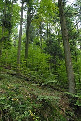 EsPro07_071002_070.JPG