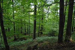 EsPro07_071002_072.JPG