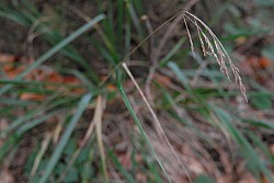EsPro07_071002_079.JPG