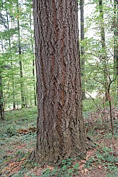 EsPro07_071002_080.JPG