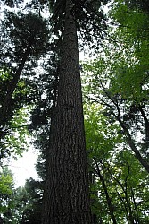 EsPro07_071002_083.JPG