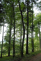 EsPro07_071002_085.JPG