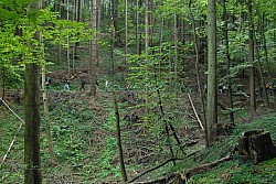 EsPro07_071002_089.JPG