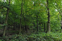 EsPro07_071002_102.JPG