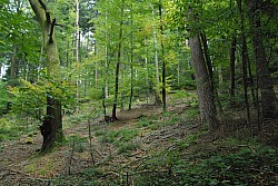 EsPro07_071002_104.JPG