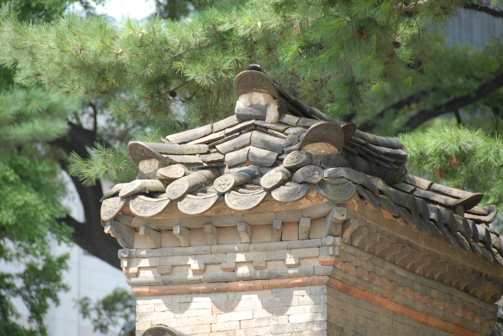 100822IUFRO_051.JPG
