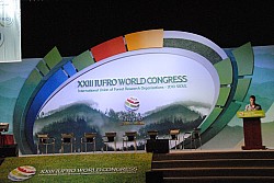 100825IUFRO_034.JPG