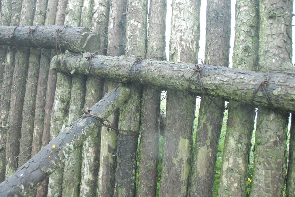 100826IUFRO_075.JPG