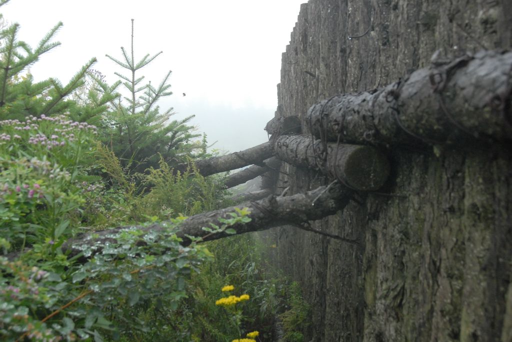 100826IUFRO_090.JPG