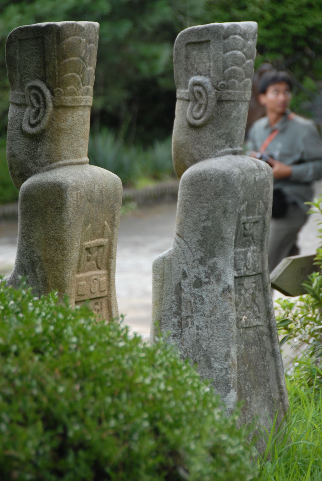 100826IUFRO_133.JPG
