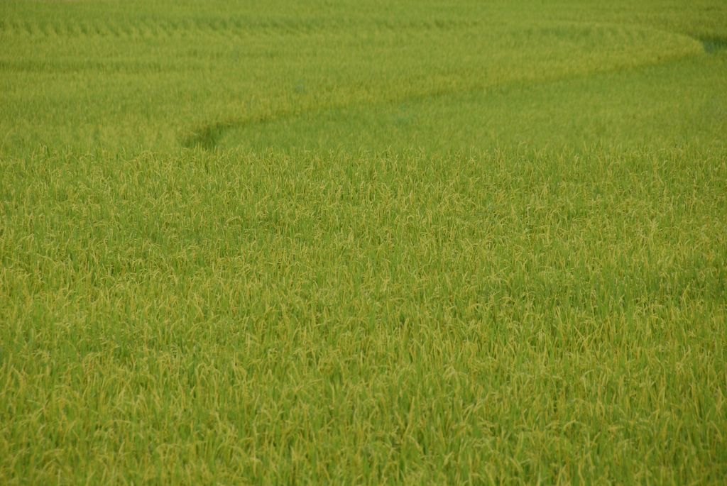 100826IUFRO_212.JPG