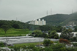 100826IUFRO_020.JPG