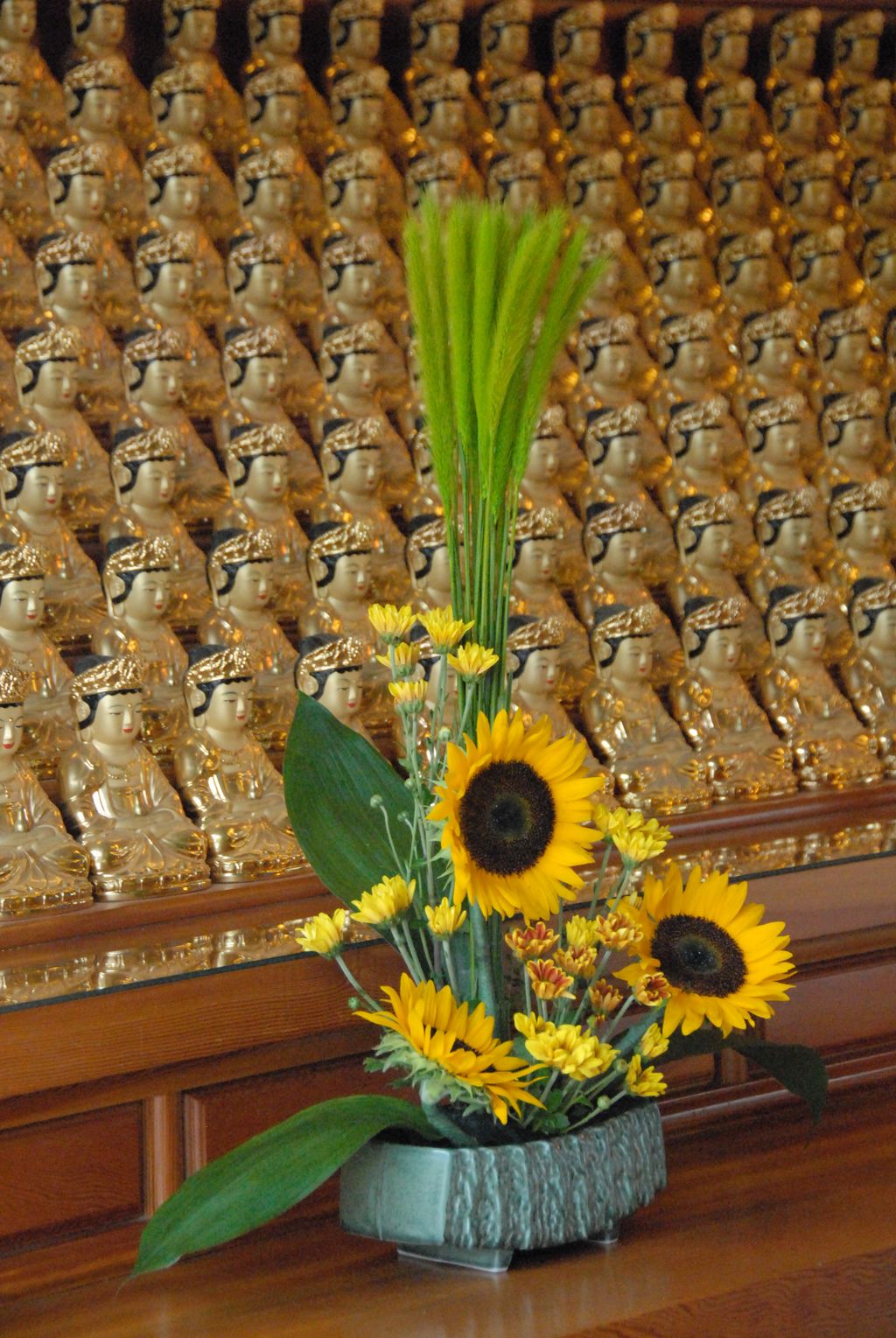 100827IUFRO_066.JPG