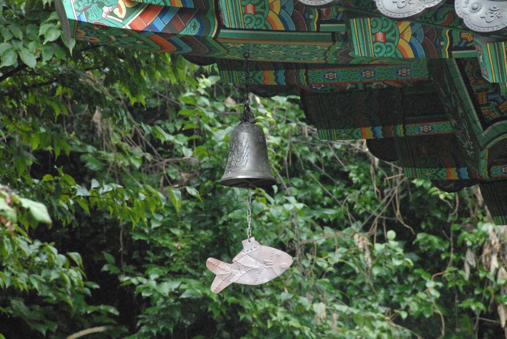 100827IUFRO_075.JPG