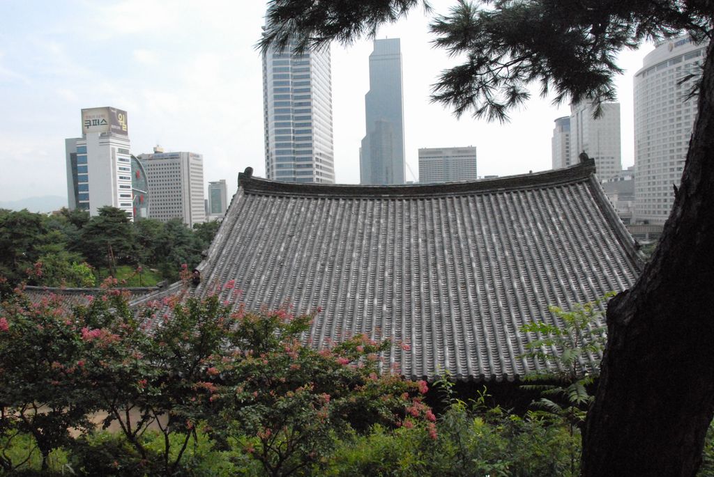 100827IUFRO_080.JPG