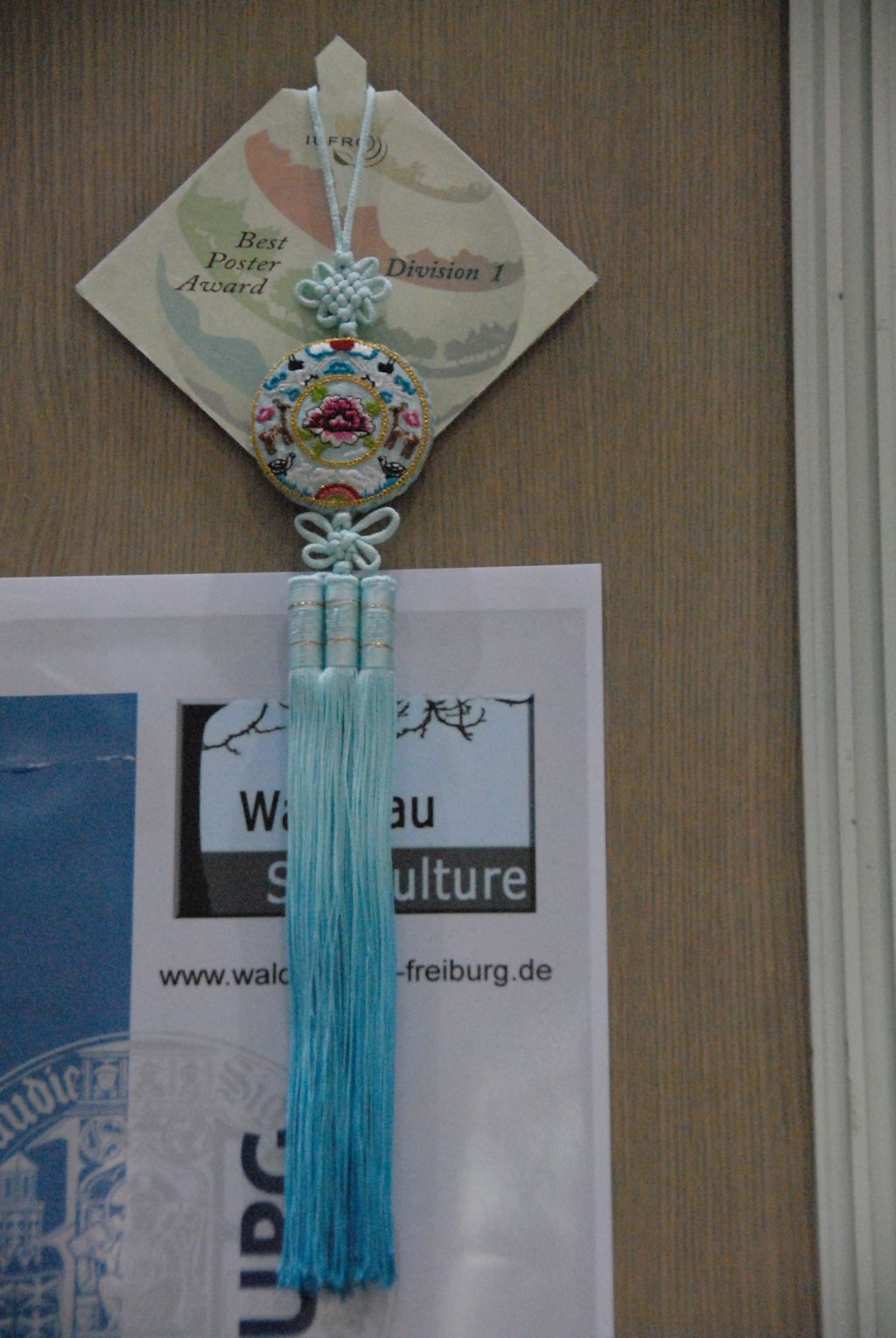 100827IUFRO_134.JPG