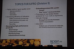 100828IUFRO_056.JPG