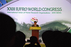 100828IUFRO_095.JPG