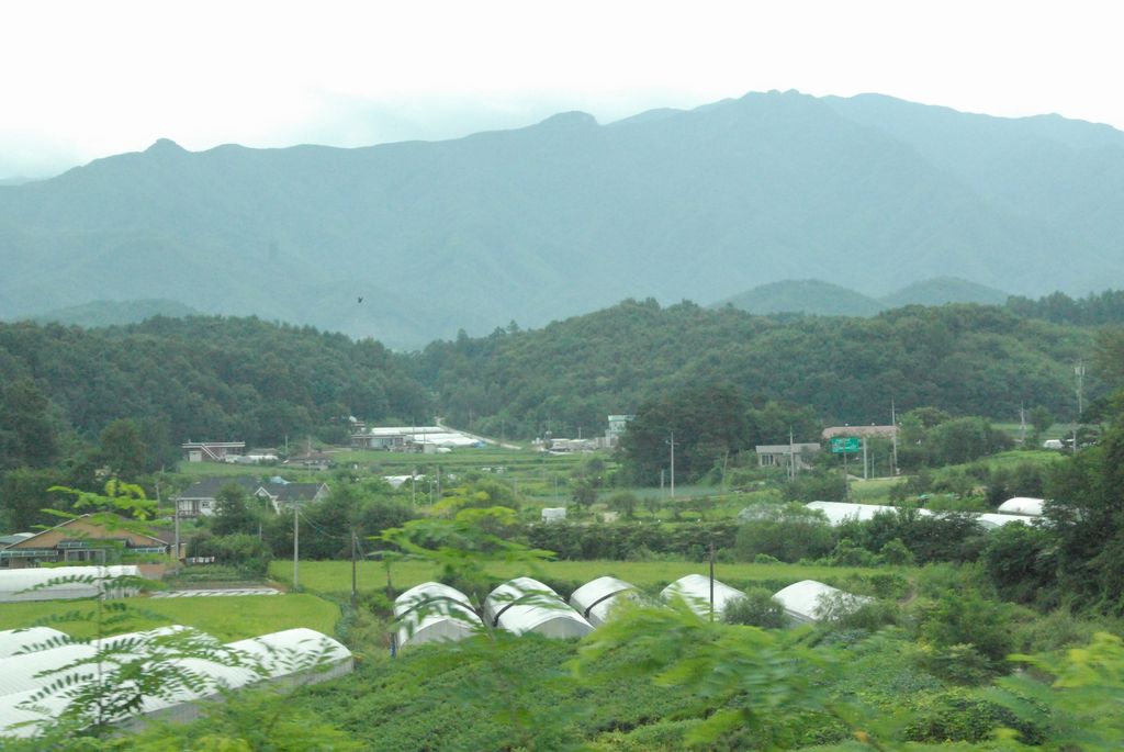 100829IUFRO_026.JPG