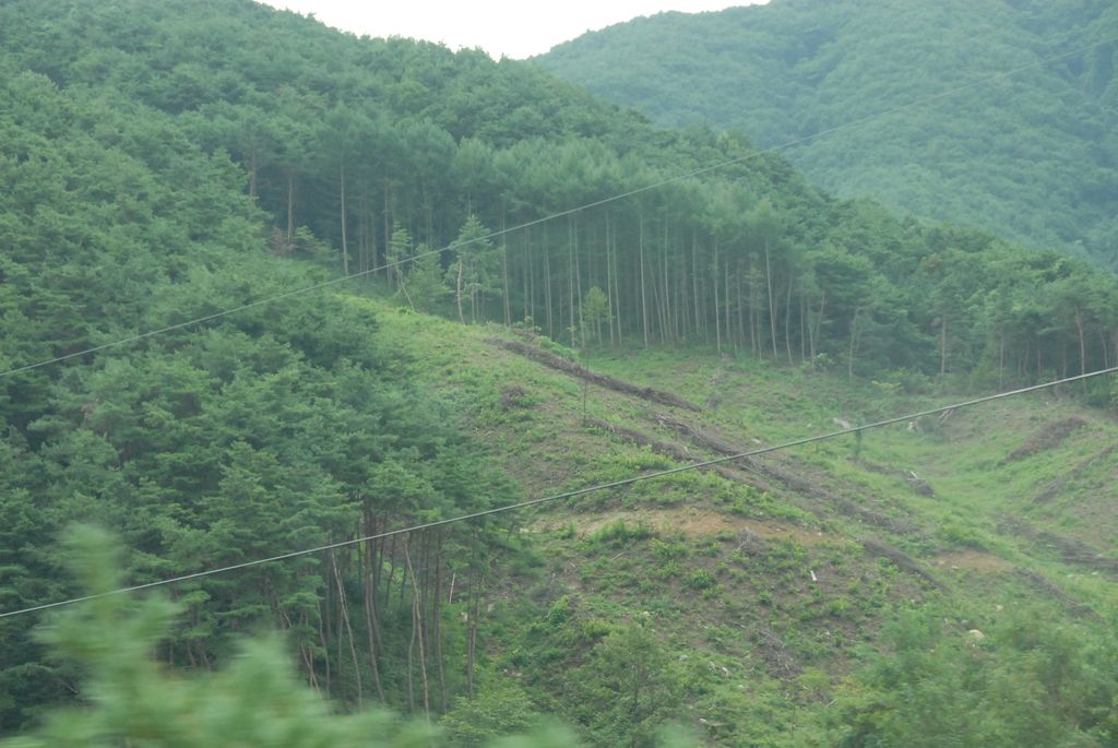 100829IUFRO_028.JPG