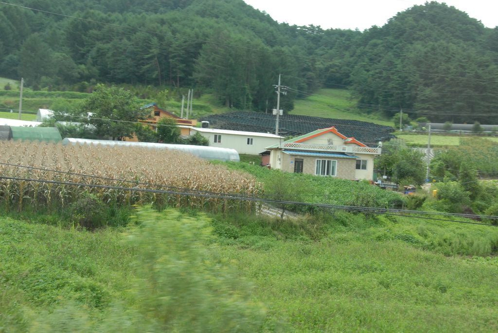 100829IUFRO_036.JPG