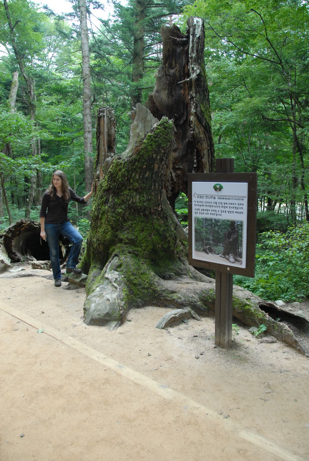 100829IUFRO_077.JPG