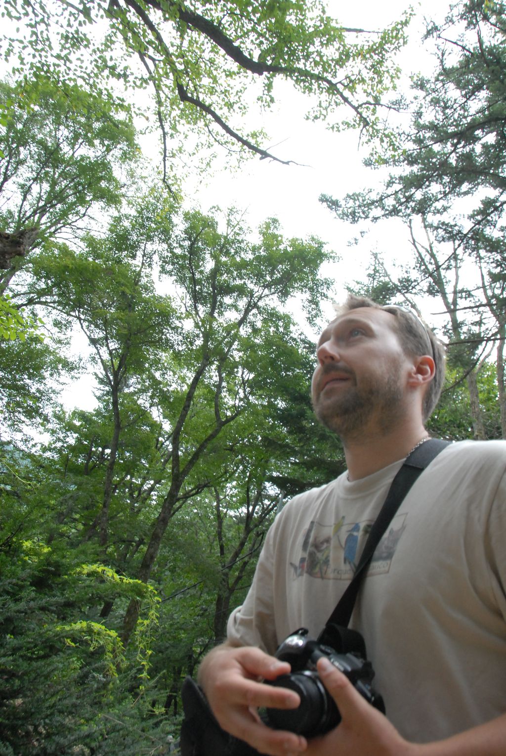 100829IUFRO_143.JPG