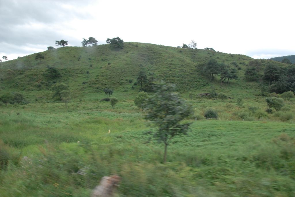 100829IUFRO_218.JPG