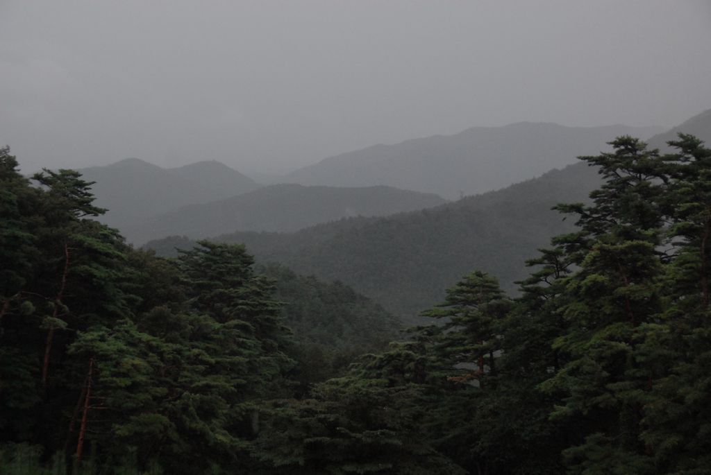 100829IUFRO_260.JPG