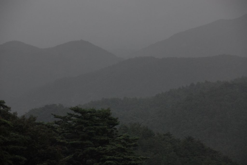 100829IUFRO_265.JPG
