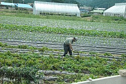100829IUFRO_045.JPG