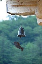 100829IUFRO_166.JPG