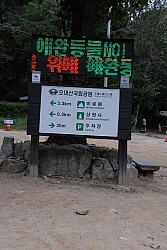 100829IUFRO_180.JPG