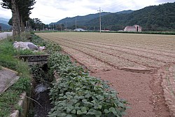 100829IUFRO_199.JPG