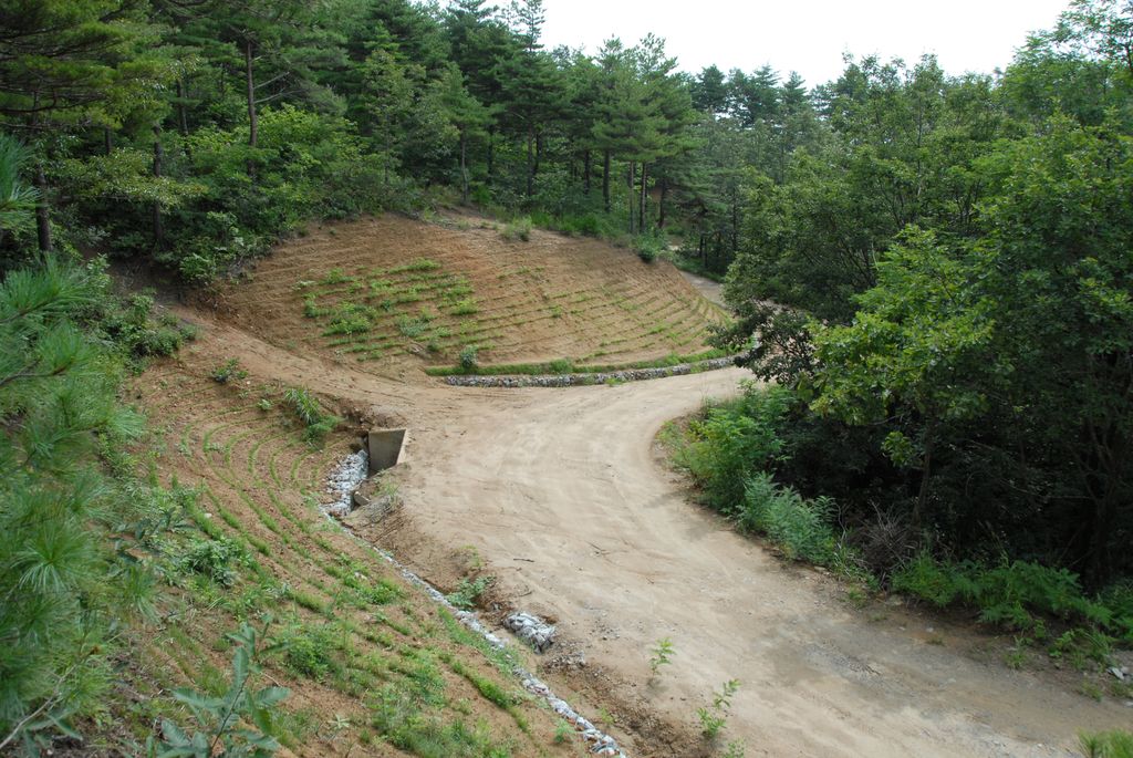 100830IUFRO_072.JPG