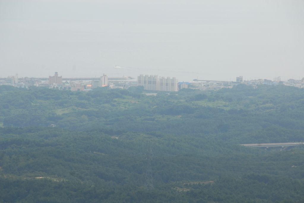 100830IUFRO_096.JPG