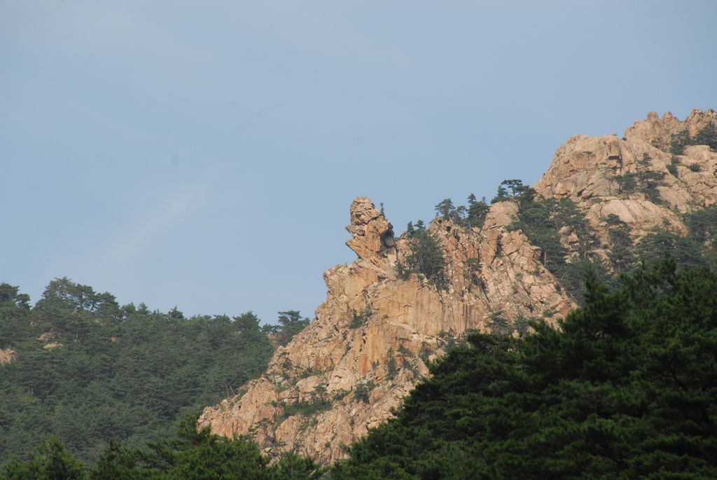 100830IUFRO_135.JPG