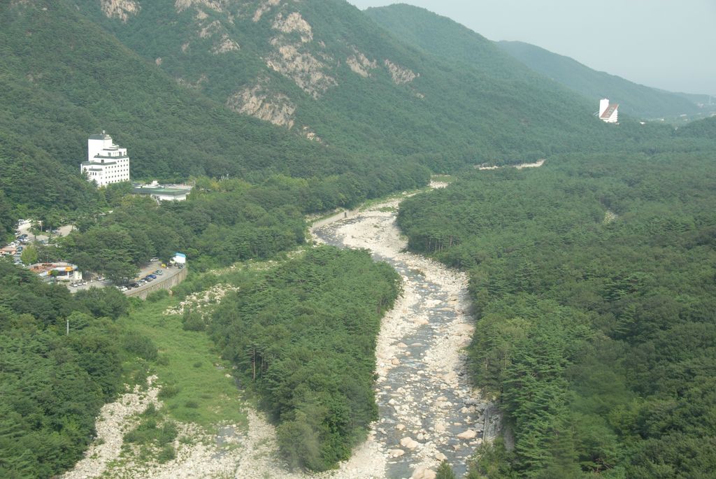 100830IUFRO_154.JPG
