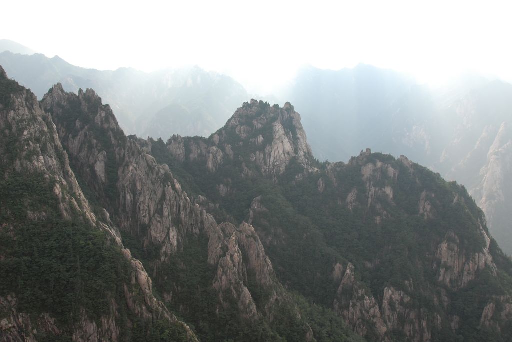 100830IUFRO_210.JPG