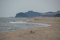 100830IUFRO_126.JPG