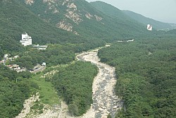 100830IUFRO_154.JPG