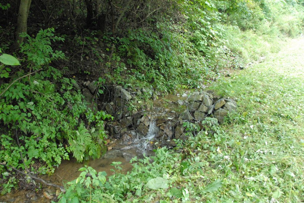 100831IUFRO_039.JPG