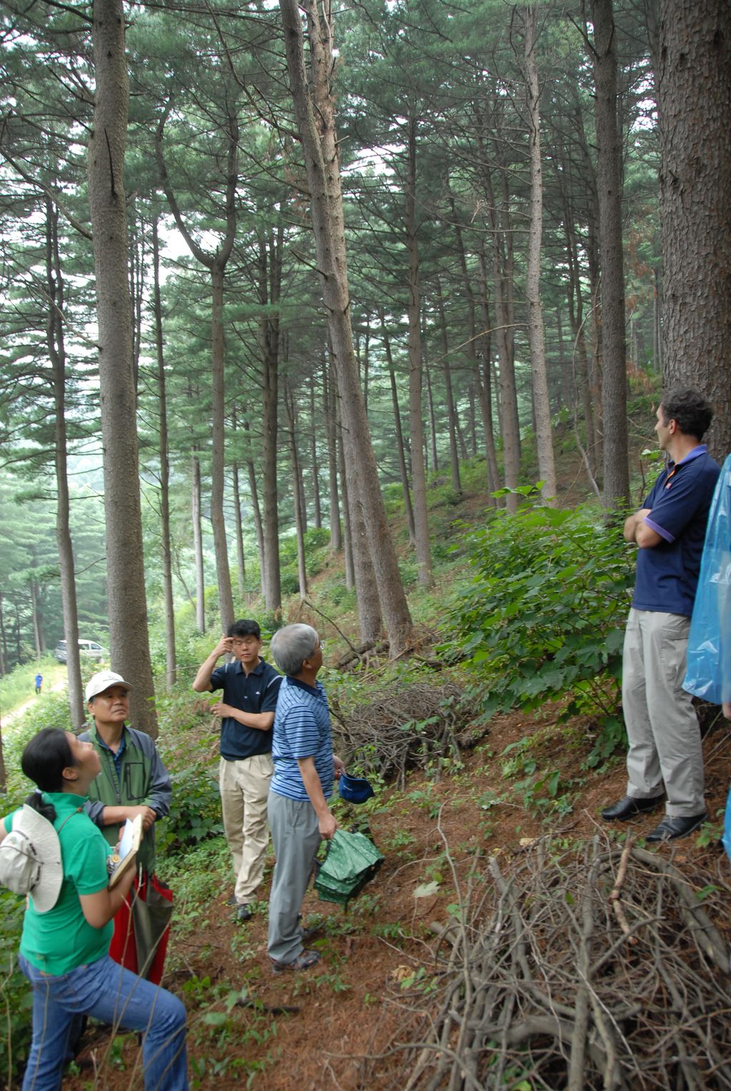 100831IUFRO_051.JPG