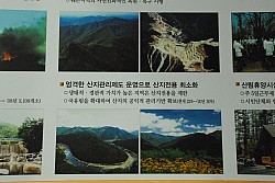 100831IUFRO_020.JPG