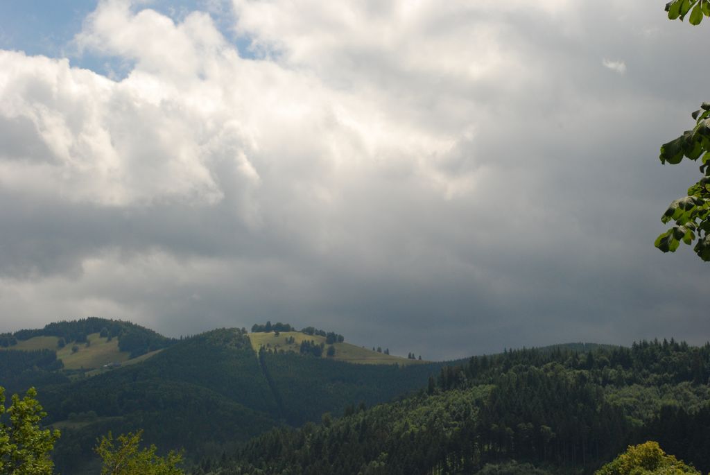 080719SFLUM_Radek_002.JPG