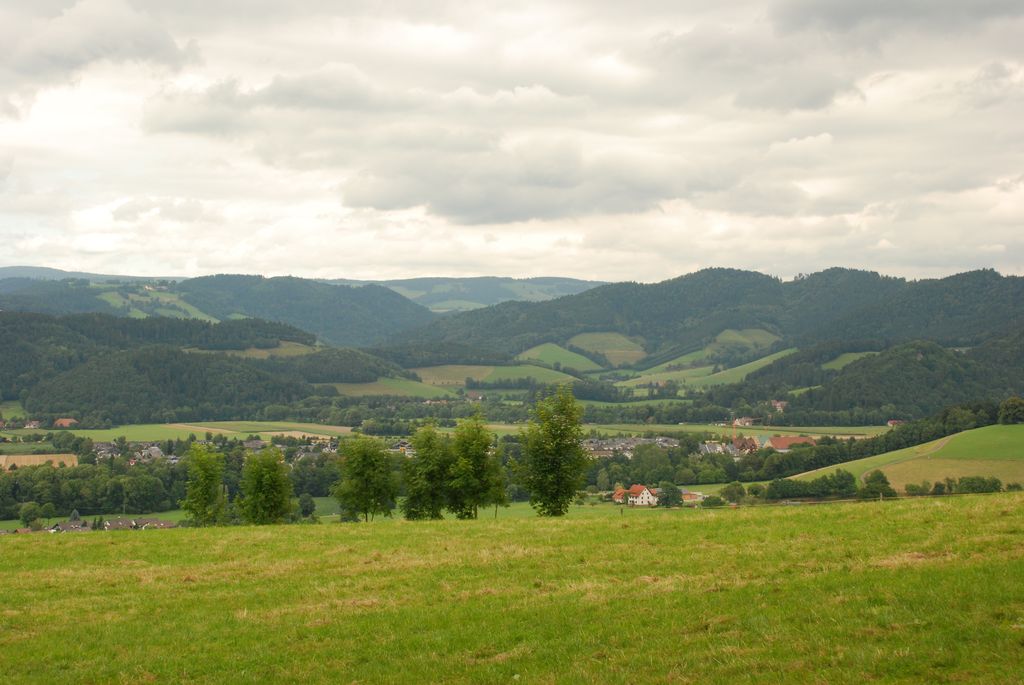 080719SFLUM_Radek_010.JPG