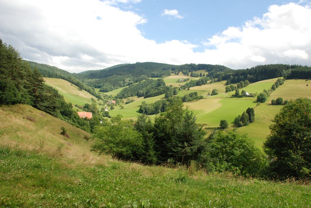 080719SFLUM_Radek_034.JPG